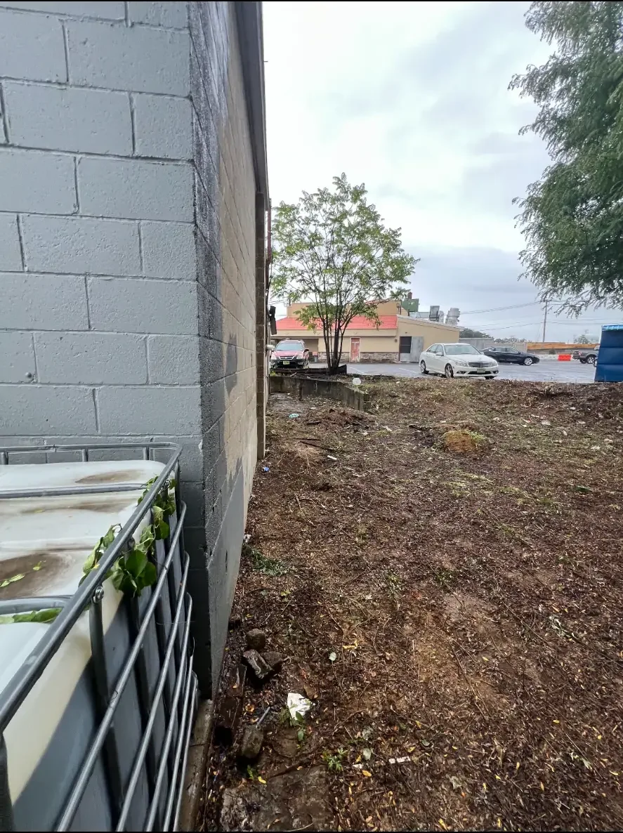 Cleared ground beside a building